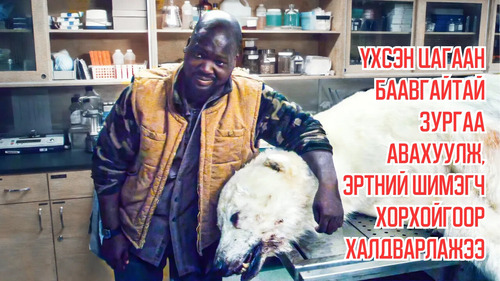 Man Unleashes Ancient Parasite by Taking Photo With Dead Polar Bear